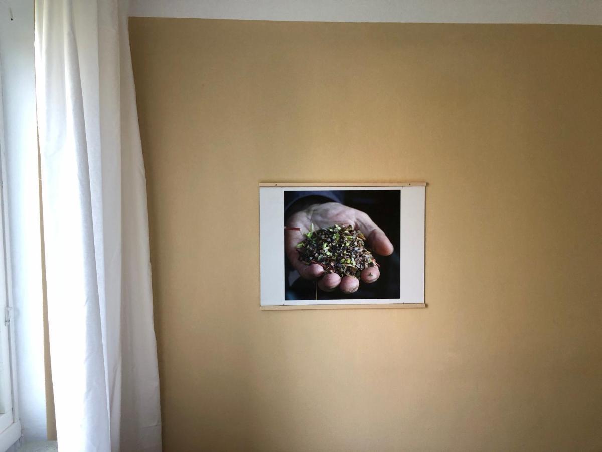 Hemmet Simrishamns Vandrarhem Och B&B エクステリア 写真